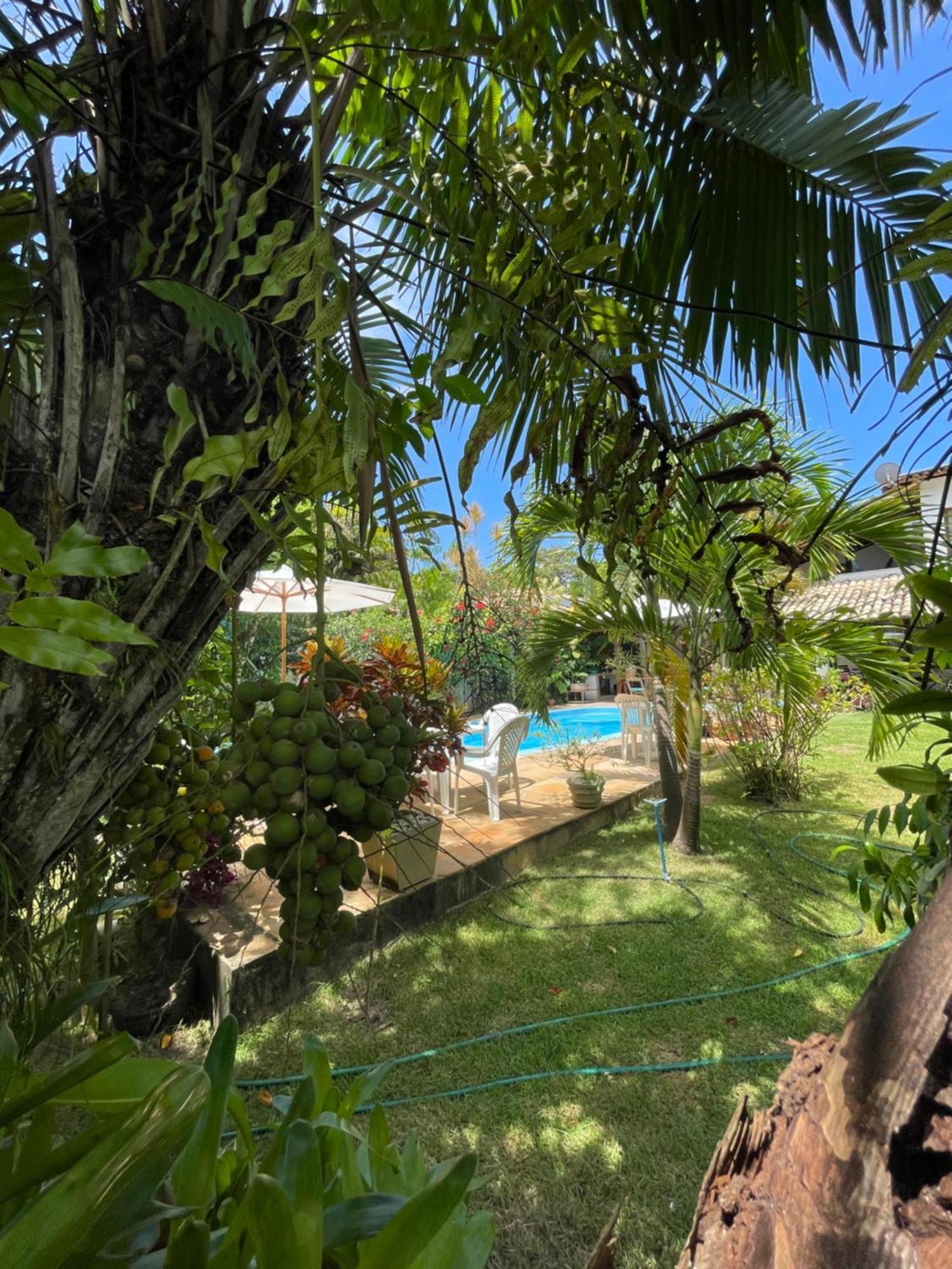 Yucca Bed & Breakfast Porto Seguro